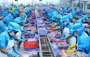 Việt Nam muốn lọt top 5 thế giới về chế biến thủy sản